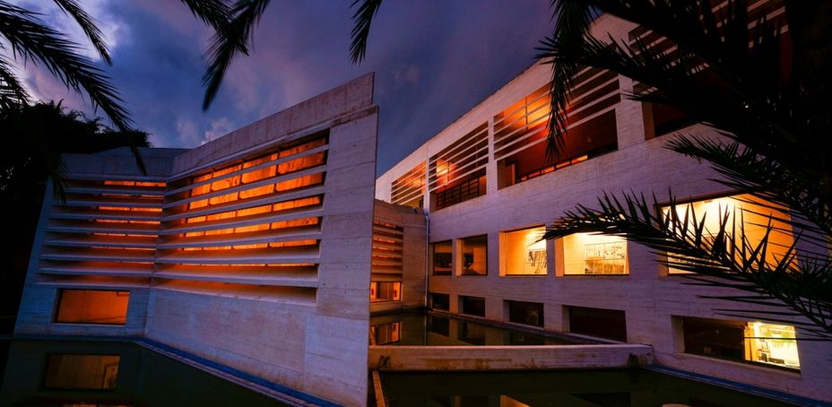 Contemporary building with illuminated facade and palm trees in the foreground during dusk.