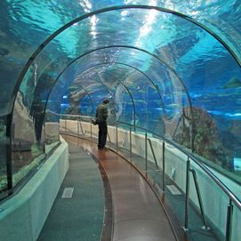 Aquarium of Barcelona tunnel