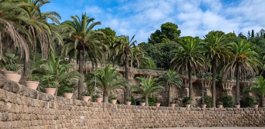 Park Guell, Barcelona - A serene view of the park's stone walls with potted palms and lush greenery