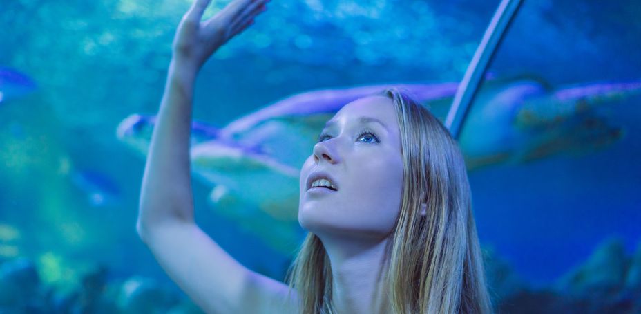 Barcelona Aquarium underwater tunnel