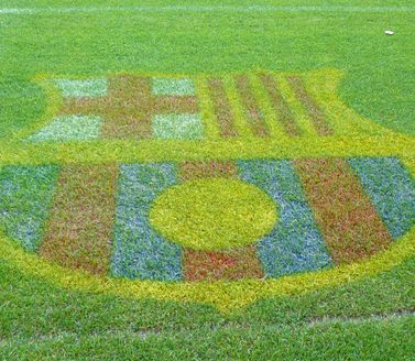 Camp Nou stadium entrance